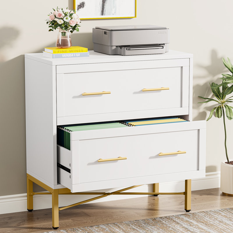Niera 31.49'' Wide 2 -Drawer File Cabinet, White