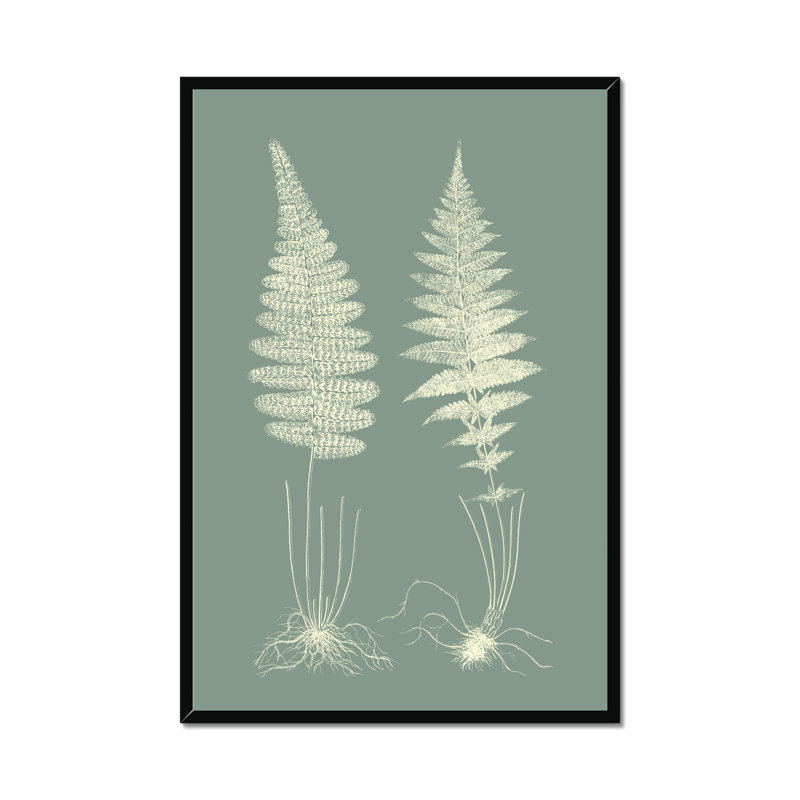 Ferns on Sage VI 1 Piece Painting, 50cm H x 34cm W, Black Framed Paper Print