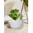 Daenerys Table Vase - Set of 2