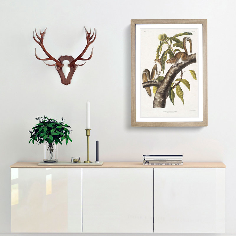 Carolina Grey Squirrels by J.W. Audubon - Picture Frame Painting Print, 48cm H x 36cm W x 2cm D, Oak Framed