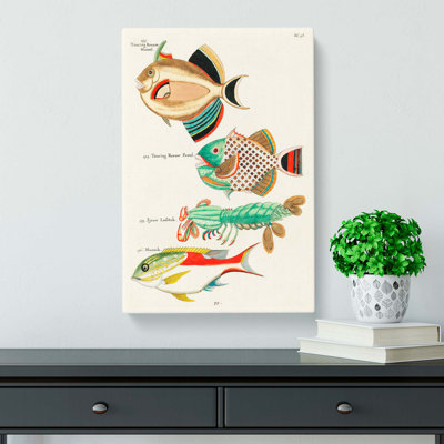 East Indies Fish & Lobster Illustrations Fol. 38 by Kuroda Seiki - Wrapped Canvas