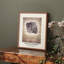 William Morris, reproduction encadrée Lxxxi-100461742-100461741