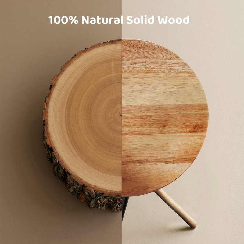Solid Wood End Table, Modern Side Table with FSC Certified Wood & Knotted Metal Frame, Small Accent Couch Sofa Side Table for Living Room Bedroom, Oak
