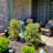 Yardley Weather-Resistant Modern Green Polyresin Solar Fountain with Battery