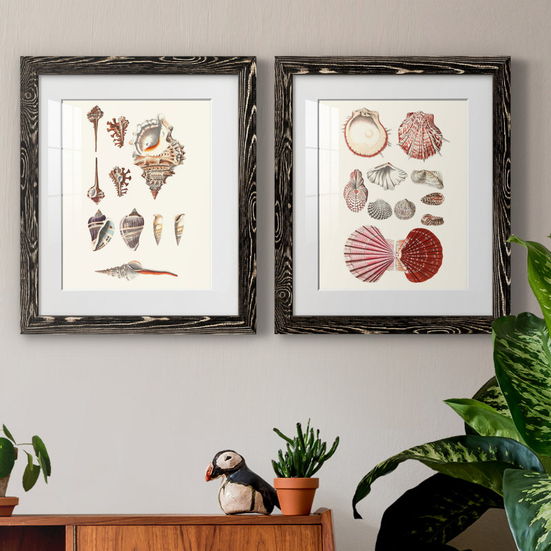 Toile encadrée Shell Collection VP Remium - prête à être accrochée, H 20 po x l 17 po x P 1 po, Papier encadré noir, Blanc