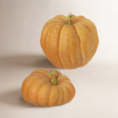 Soft Touch Weathered Pumpkin Holiday Accent