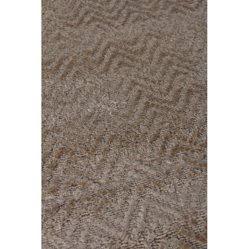 Pavo Tencel Chevron Area Rug in Beige, Rectangle 10' x 14'