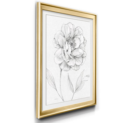 Croquis de pivoines - reproduction de cadre photo