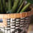 Bungalow Rose Bamboo Basket