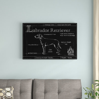 " Blueprint Labrador Retriever " by Ethan Harper Painting Print