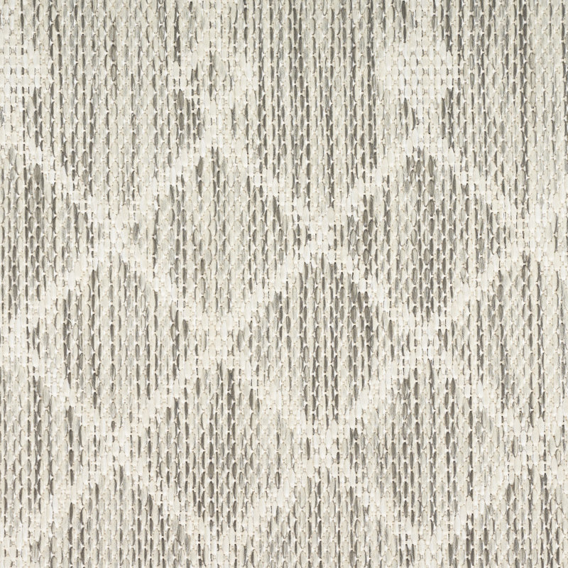 Tapis intérieur / extérieur Robbs, Rectangulaire 4 pi x 6 pi, Light Grey