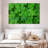 Harnek Green Shamrock Cluster-111823575