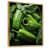 Gold Floater Framed
