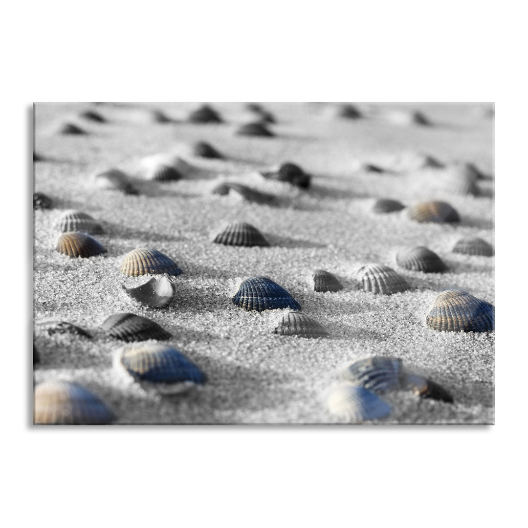 Glasbild | Wandbild Auf Echtglas | Muscheln Im Sand | 2 Schwarz-Weiss LFy17390