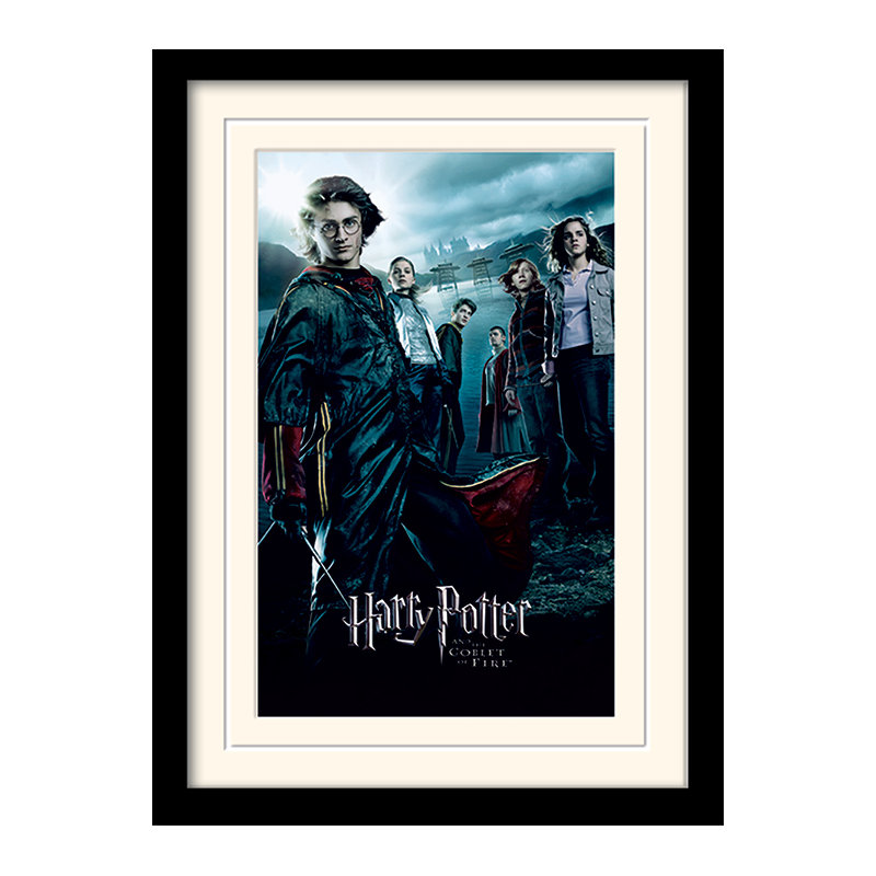Single Picture Frame Print