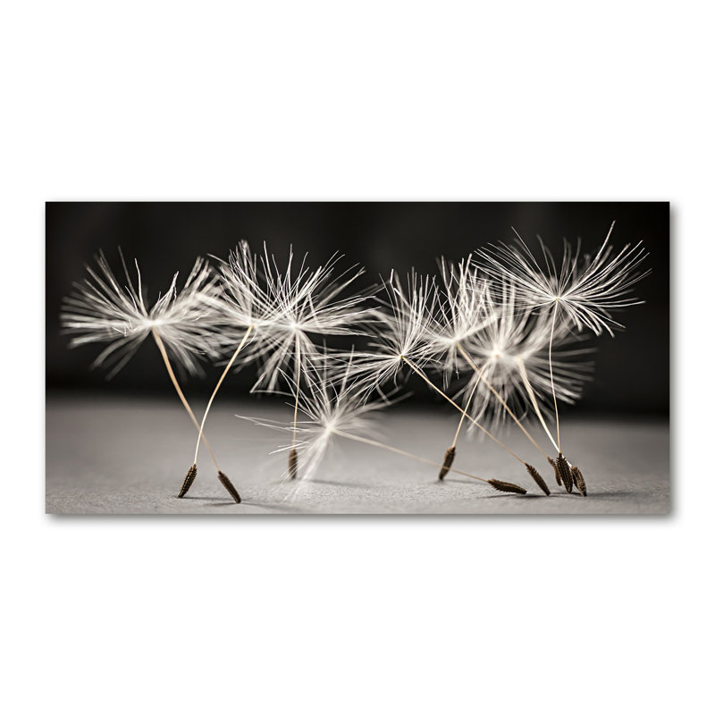Dandelion Seeds - Wrapped Canvas Print
