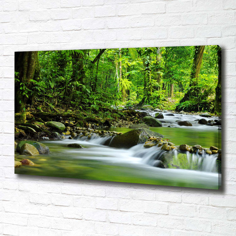 Mountain Stream - Wrapped Canvas Print