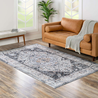 Oluremi Oriental Indoor Rug