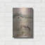 «The Front Pasture» par Kamdon Kreations-1542753662