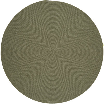 Smyth Hand Braided Wool Indoor Rug