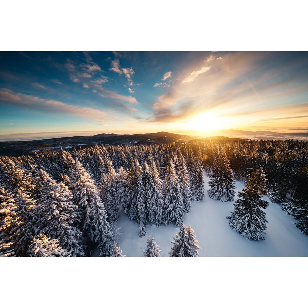 Wintersonnenaufgang über dem Wald von Borchee - Druck auf Leinwand ohne Rahmen