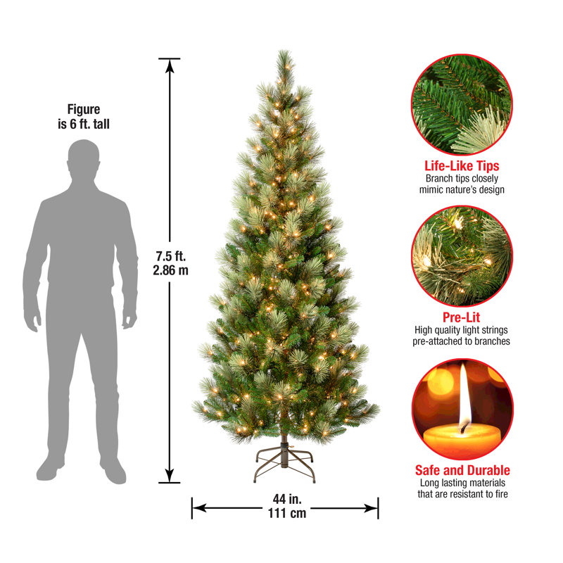 First Traditions'' 9 Ft. Charleston Pine Slim Tree With Clear Lights, 7.5'