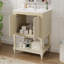 Meuble-lavabo de luxe moderne de 24 po avec lavabo en céramique, meuble de salle de bain avec tablette ouverte et rangement fermé-1750531102