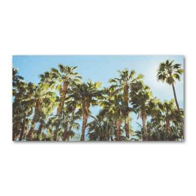 High Palm Trees - Wrapped Canvas Print