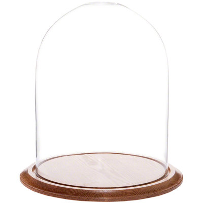 Vucciria 11.75" x 15" Glass Display Dome Cloche