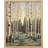 " Black And White Birch Trees "-98266357-98266356