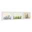 'Floral Cactus Triptych' - 3 Piece Picture Frame Graphic Art Print-29534931-32818179