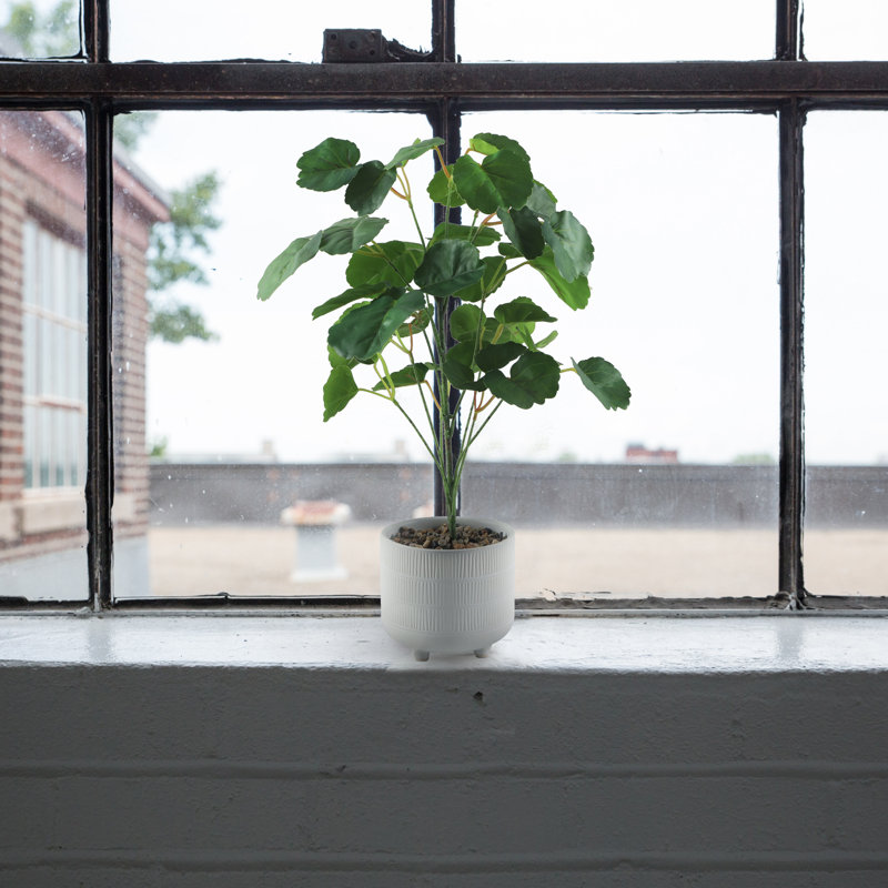 Plante pilea artificielle 12 po en pot