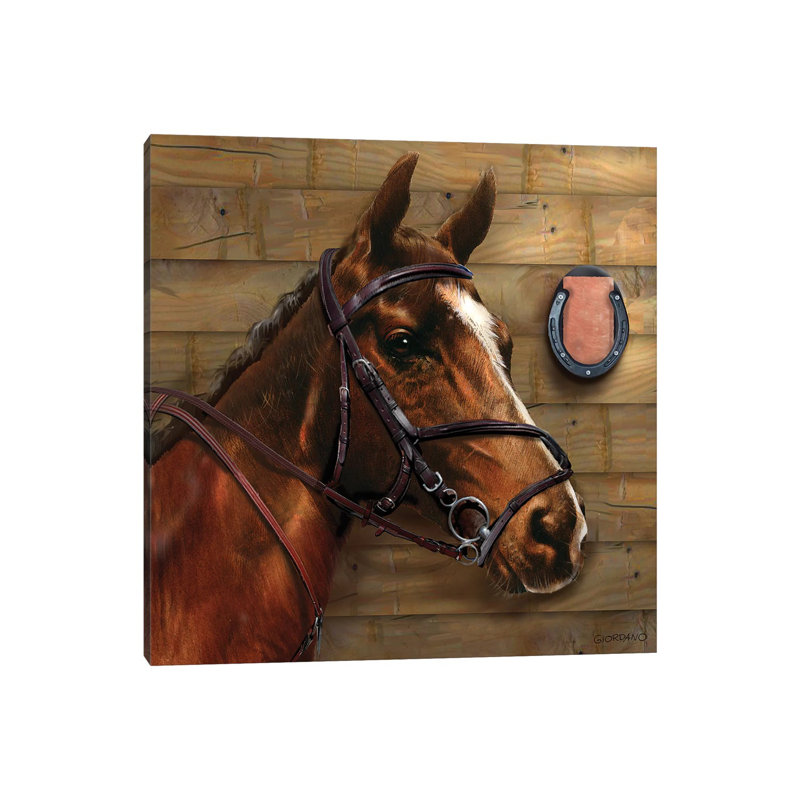 A Portrait Of Fella by Giordano Studios - Wrapped Canvas Print, 30.48 cm H x 30.48 cm W