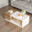 Coffee Table with Storage