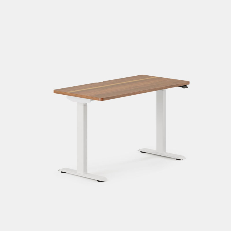 Duo Standing Desk, Walnut, 47.3" H x 48" W x 24" D, White
