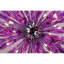 Lustre sphère Spoutnik Apollo Iris Kamiyla-1452750424-1452750435-1412190209