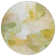 Machine Washable Indoor/Outdoor Xhevrie Fern Rug
