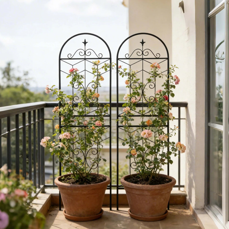 Ensemble de 2 treillis de jardin en métal 71 po x 19,7 po - Support de plante grimpante antirouille pour fleur d'extérieur, vigne, patio, cour, noir