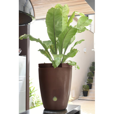 Pot à fleur rond écologique de 15,7 pouces Vutyo ECOBO, intérieur / extérieur Maresia pour une utilisation saisonnière
