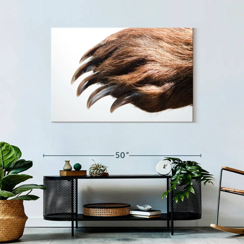 Brampt Brown Bear Claws, 30" H x 45" W