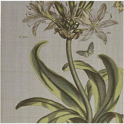 4-piece Botanical Illustration Framed Canvas Wall Art Set