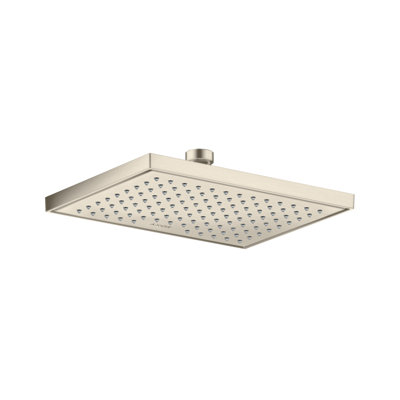 Rain Fixed Shower Head