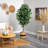 72'' Faux Ficus Tree in Cotton Planter