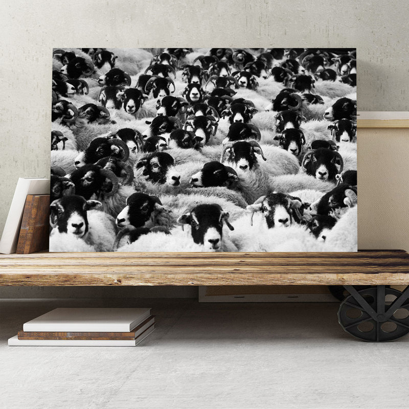 Flock of Sheep Photographic - Wrapped Canvas, 50cm H x 76cm W
