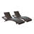Peer Outdoor Brown Patio Chaise-119228279