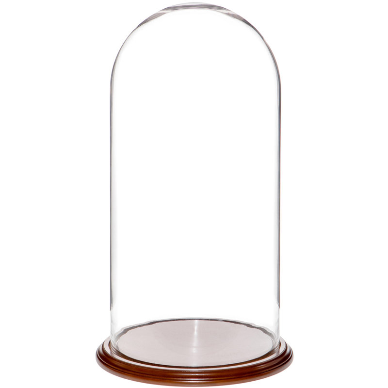 Cloche en verre Vucciria, Base en placage de noyer, H 23 po x l 11,75 po x P 11,75 po