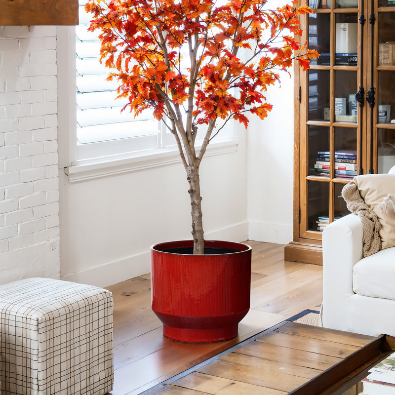 Pot à fleurs rond rouge en céramique, H 11,61 po x l 13 po x P 13 po