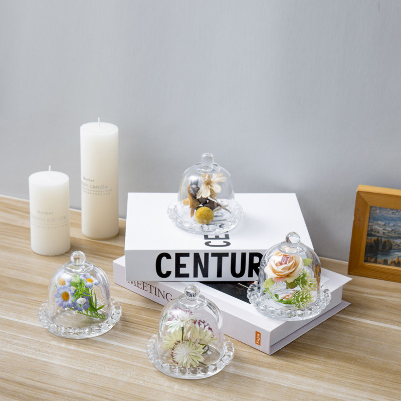 4 Pieces Cloche Clear Glass Decorative Bottles Set