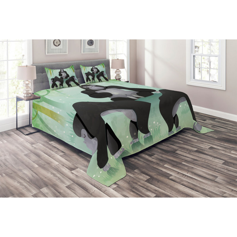 Coverlet