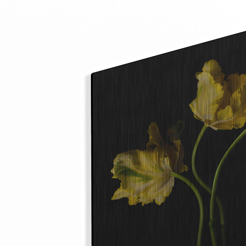 Luxe Yellow Art «Yellow Parrot Trio» par Leah McLean «Yellow Parrot Trio» par Leah McLean